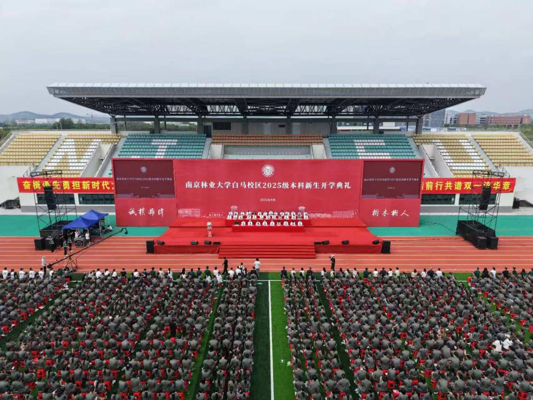 图片1_75010图片1